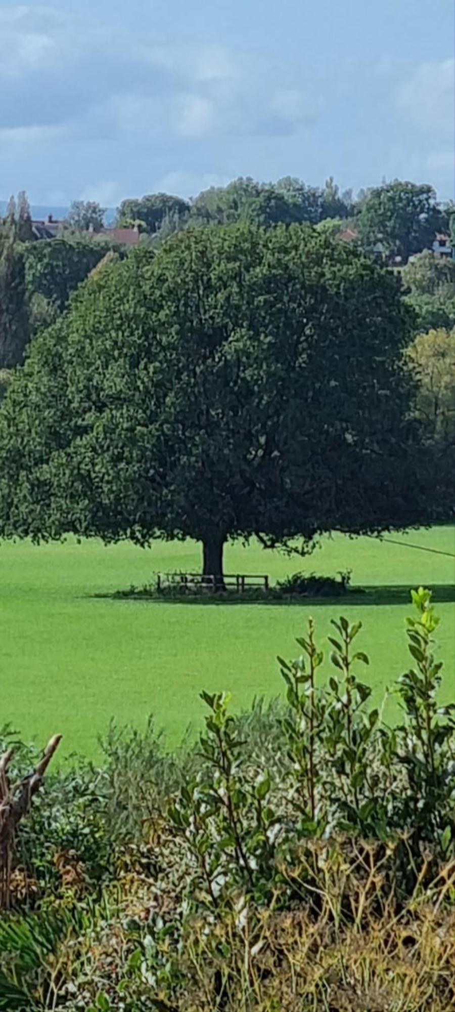 Ross-On-Wye Holiday Cottage Bagian luar foto