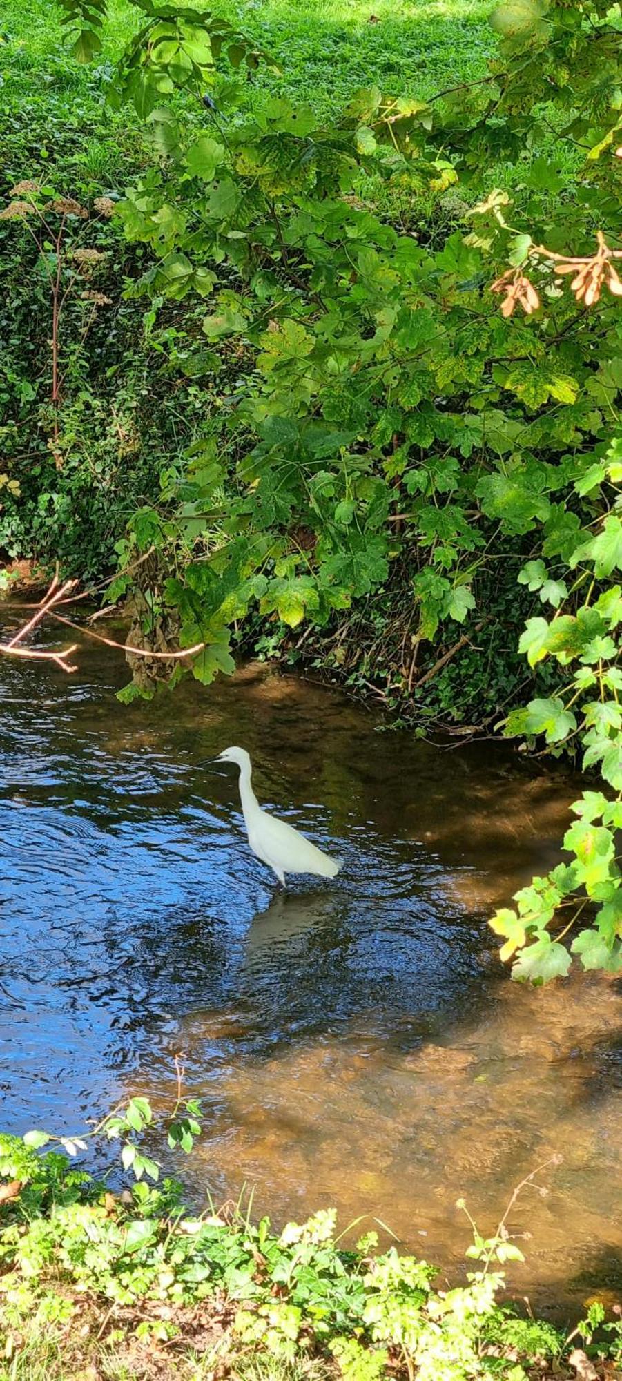 Ross-On-Wye Holiday Cottage Bagian luar foto